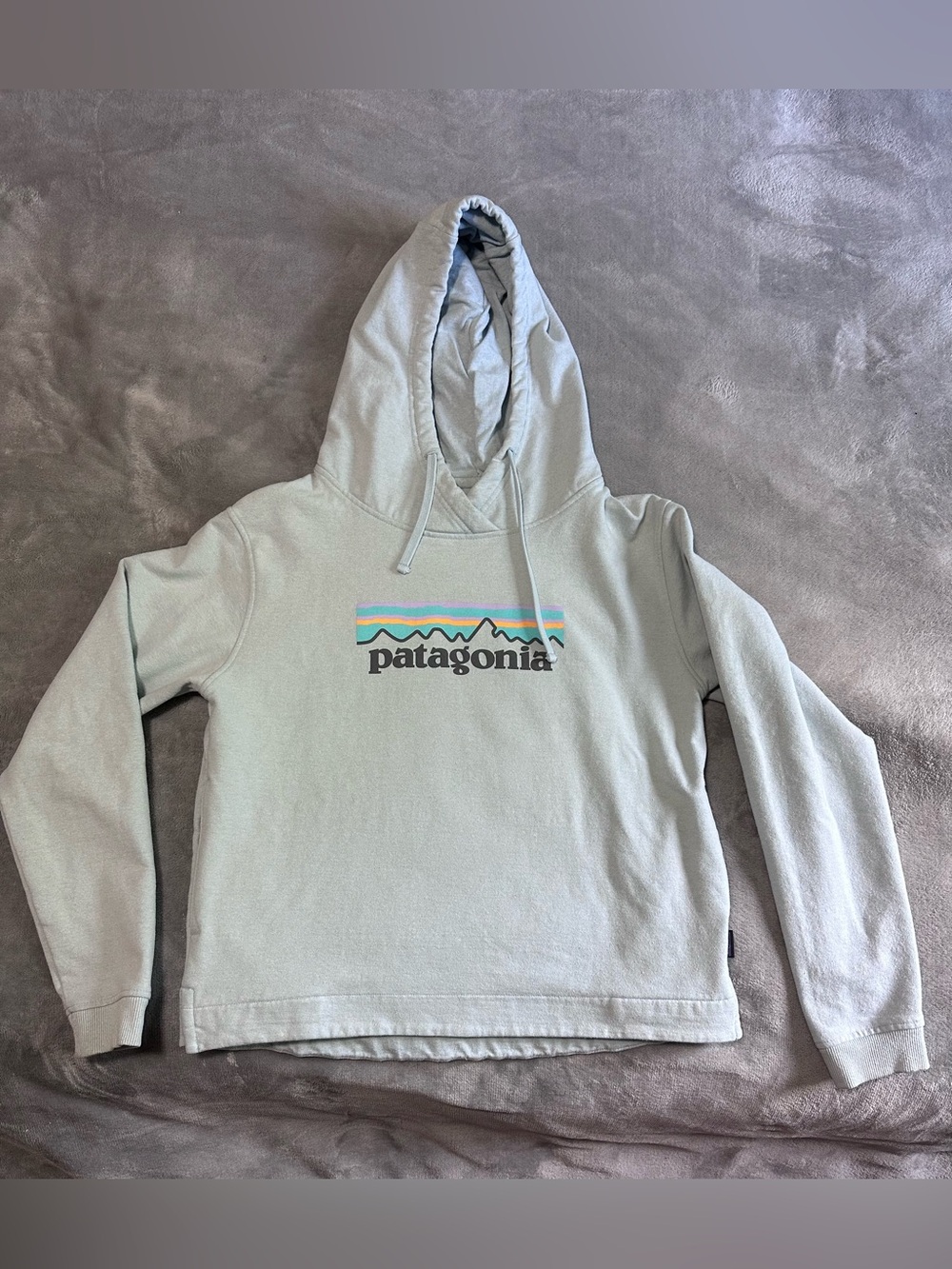 Patagonia Women’s Light Sage Logo Hoodie MEDIUM